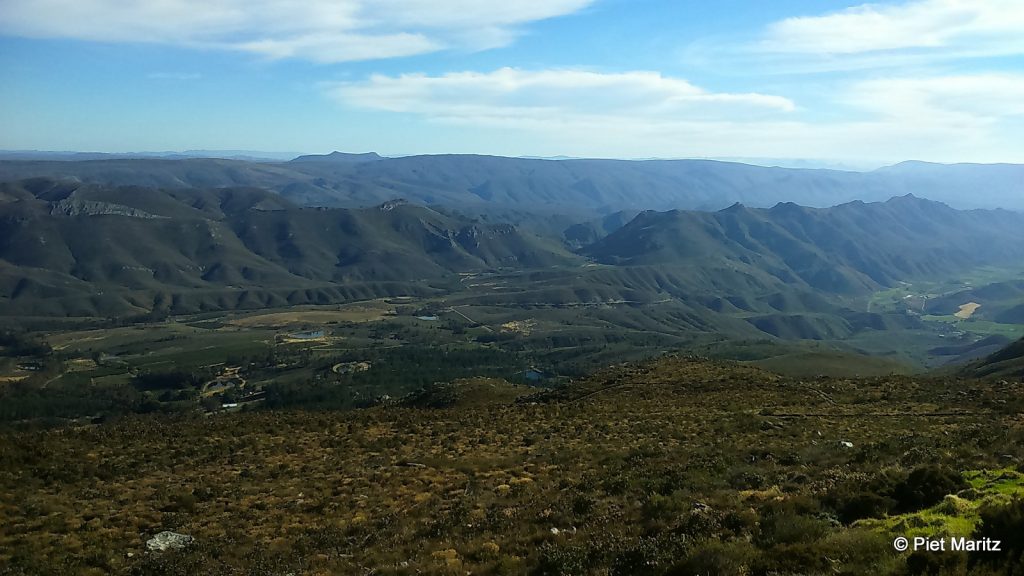 Early Morning View from Arangieskop